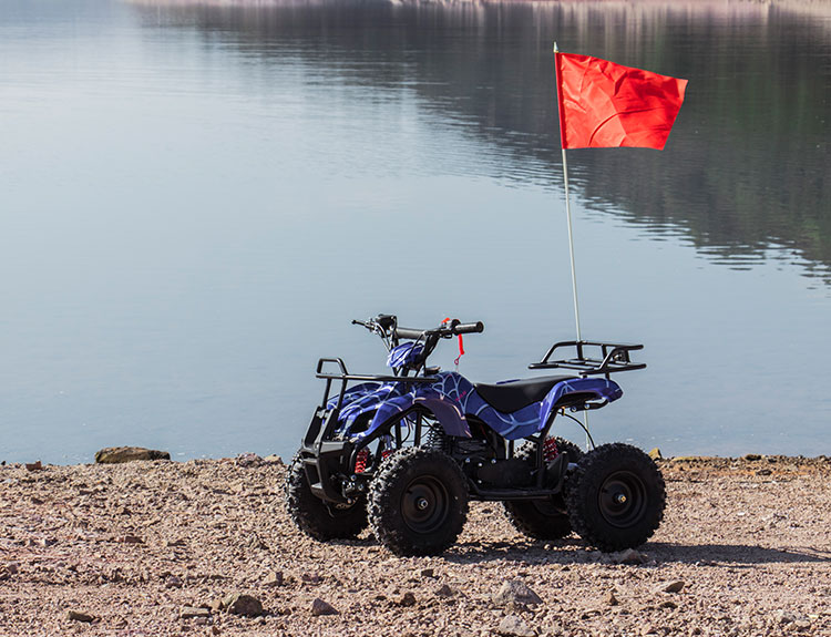 LYEMT-7 Electric Mini Bike